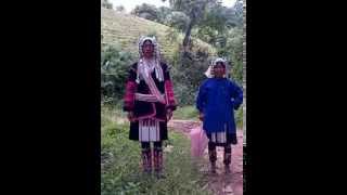 Traditional Akha HillTribe Song [upl. by Johann700]