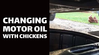 Changing Motor Oil With Chickens [upl. by Acinyt]