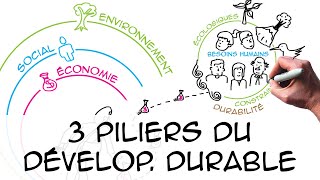 Les 3 piliers du développement durable regard scientifique [upl. by Nyllek]