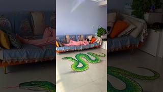 Snake painting  New Viral Gadgets Smart Appliances Kitchen Utensils Home Inventions shorts [upl. by Yortal885]