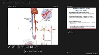 Day 1 BIO 211 720 Lecture FA2024 Endocrine System [upl. by Tsenre101]