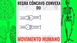 RESUMO REGRA CÔNCAVOCONVEXA  Hugo Oliveira [upl. by Dominick]