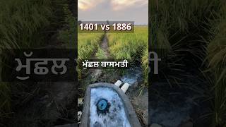 ਮੁੱਛਲ਼ 1401 vs 1886 farming punjabagriculture paddyfarming ricefarming kisan [upl. by Meredith]