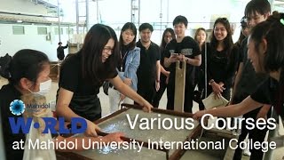 Various Courses at Mahidol University International College  MUIC By Mahidol [upl. by Fernand]