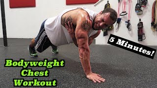 Intense 5 Minute At Home Chest Workout 2 [upl. by Ahsilyt]