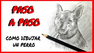 Como DIBUJAR un PERRO REALISTA a lapiz [upl. by Enelrats]