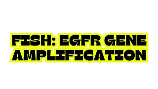 FISH EGFR GENE AMPLIFICATION [upl. by Suiramaj]