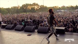 ZOMBiEVision Episode 1 Flatbush Zombies Headline NYC Summerstage 2013 [upl. by Yahsed667]