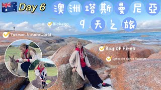 ✈️🇦🇺TOUR 澳洲塔斯曼尼亞9天之旅  D6 Cataract Gorge Reserve  Binalong Bay  Bay of Fires  Bicheno [upl. by Ahtnamas]