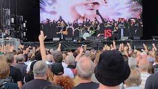 Stiff Little Fingers Alternative Ulster Live Dog Day afternoon at Crystal Palace SLF 1st July 2023 [upl. by Easlehc]