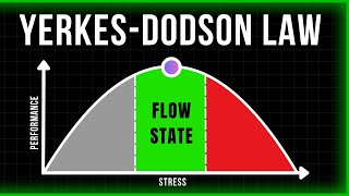 This Graph Will Change Your Relationship With Stress Forever [upl. by Afinom]