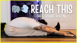 Hamstrings and Posterior Chain FollowAlong Elephant Stretching Routine [upl. by Ahsehyt]