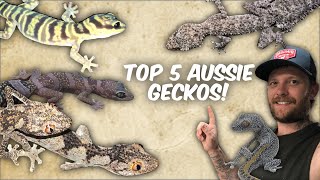 MY TOP 5 AUSSIE GECKOS [upl. by Frisse364]