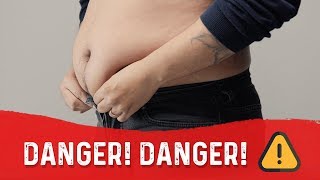 Do You Have Dangerous Fat DrBerg On Visceral Fat amp Burning Belly Fat [upl. by Arutnev250]