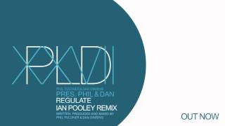 Phil amp Dan  Regulate Ian Pooley Remix [upl. by Lisab665]