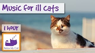 Help Poorly Cats relax with Anti Anxiety Cat Music Help Calm Your Cat 🐱 ANXIETY09 [upl. by Aneahs]