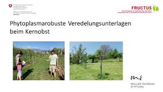 Youtube KernobstPhytoplasmaProjekt MTS Agroscope FRUCTUS [upl. by Ydnahs]