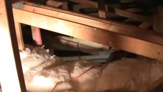 How to access an attic [upl. by Tortosa]