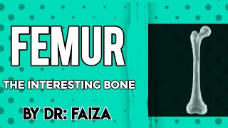 femur bone anatomy 3D attachments of femur bone Anatomywithdrfaiza [upl. by Doy]