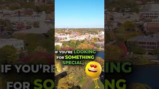 Naperville il downtown shorts [upl. by Godspeed]