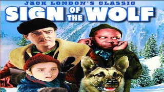 Sign of the Wolf 1941  full movie  Jack London story [upl. by Honoria]