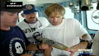 Al Rescate del Graf Spee  Documental Discovery  1997  Parte II [upl. by Aniale801]