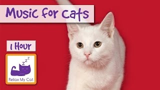 1 Hour of Music for Cats  Relax your Cats and Send them to Sleep CATS LOVE THIS MUSIC [upl. by Swetiana169]