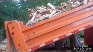 Pine Firewood getting piled up by the Ford L8000 [upl. by Leverick]