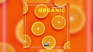 Adrii Static  Organic Vibe Clean [upl. by Savinirs]