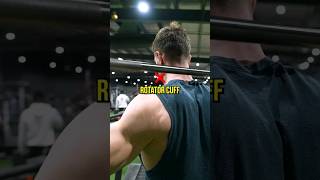 The Truth About Behind The Neck Exercises [upl. by Procter281]