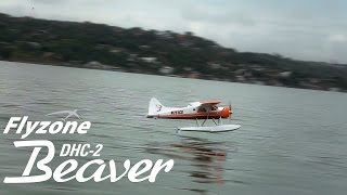 Spotlight Fast fun versatile Flyzone DHC2 Beaver [upl. by Bergess612]