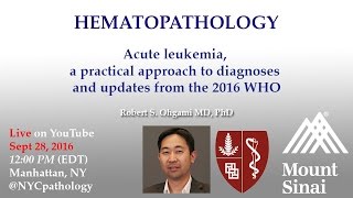 Hematopathology Acute leukemia a practical approach to diagnoses and updates from the 2016 WHO [upl. by Goodard885]