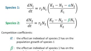 Modelling Interspecific Competition [upl. by Latimore]