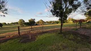 2024 02 06 Cowra Private Field 1 [upl. by Niroht]