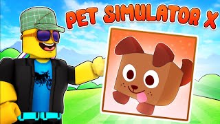 LOGGY BECOMING A BILLIONAIRE IN PET SIMULATOR X [upl. by Eeram722]