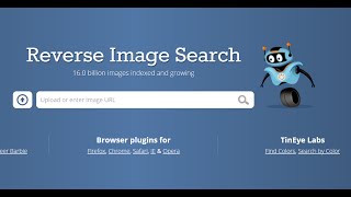 TinEye Best Reverse Image Search Engine [upl. by Eirrek569]