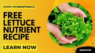 Hydroponics Nutrient Recipe for Lettuce  Hydroponics Nutrients Trainings  Free Nutrient recipes [upl. by Notrub643]