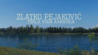 Zlatko Pejaković  Tekla voda Karašica Official lyric video [upl. by Annor]