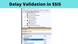 79 Delay Validation in SSIS [upl. by Odnalor181]