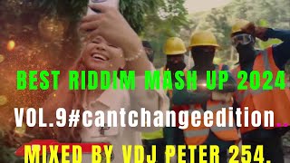 BEST OF THE BEST RIDDIM MASH UP 2024 VOL 9cantchangeedition FEATCECILEALAINECHRIS MARTIN ETC [upl. by Fenella]