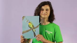 Young Artist is Painting an Incredible Bird Calendar  Earth Matters  Scitech WA [upl. by Naasah448]