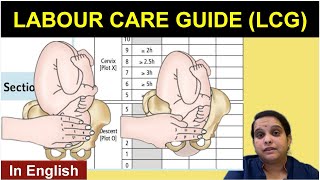 WHO Labour Care Guide  LCG Guidelines  English  Nursing Lecture [upl. by Yong983]