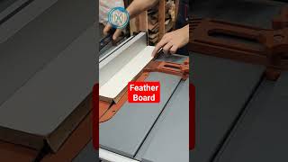 Feather Board en 3D  Como evitar el Retroceso de la Madera KickBack [upl. by Anayra5]