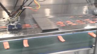 ABB IRB360 Picking Salmon Portions [upl. by Vassili]