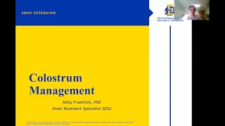 Colostrum Management for Sheep amp Goats [upl. by Baudelaire]