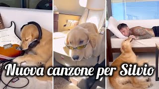 Fedez spoiler la nuova canzone che ha realizzato per il suo cane Silvio in un video social [upl. by Anavi859]