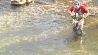 Fly Fishing Tip How to Net a Fish [upl. by Krug462]