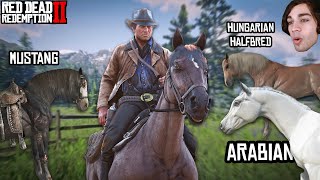 I raced every horse in Red Dead Redemption 2 to see which is the fastest [upl. by Lladnek]