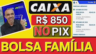 Bolsa Família paga mínimo de R 850 para mães solteiras em março [upl. by Fisk]