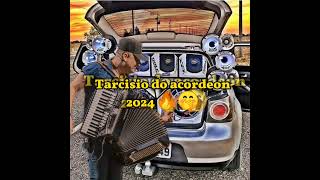 Tarcísio do acordeon 2024 [upl. by Jeanie]